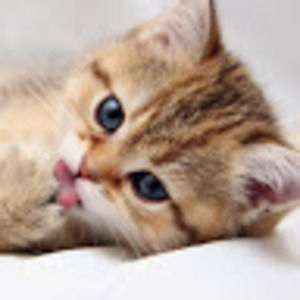 Meet your Posher, Pauravi